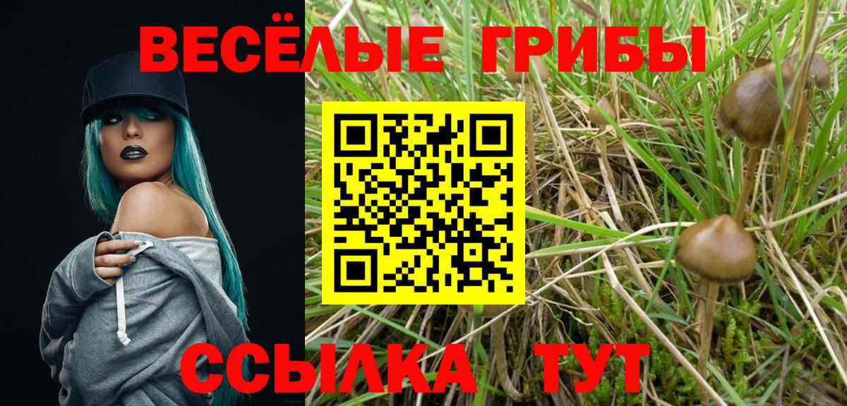 Псилоцибиновые грибы Psilocybe  Вход с VPN  дарнет шоп  Карачаевск 